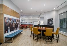 其他 2 TownePlace Suites Fort Worth University Area/Medical Center
