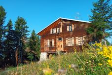 其他 Demircioglu Pokut Dag Evi