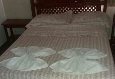 其他 6 Hotel Serrano Palace