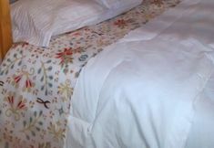 Khác 4 Hostel e Suites Scheckinah