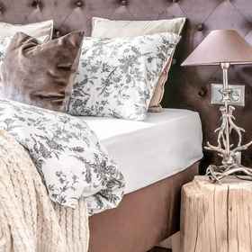 Primary image 1 Villa Gorsky-Janso, Zakopane Hotels