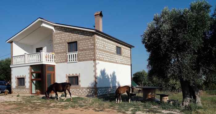 Others Gio Horses B&B