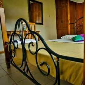 Primary image 1 Entebbe Vine Inn, Division A Hotels