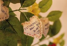 Others 4 Pousada Apple House - Campos Do Jordão