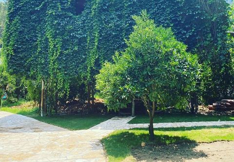 Others Camlik Pansiyon - Adults Only (16+)