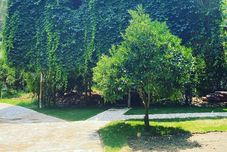 Others Camlik Pansiyon - Adults Only (16+)