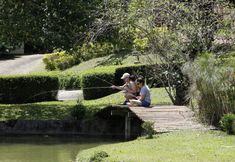 その他 2 VELINN Hotel Fazenda Fonte das Hortênsias