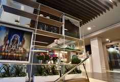 기타 7 TC Hotel Doña Luisa