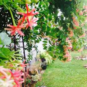 Primary image 1 マニック ホーム ステイ, ガンパハ地区 ホテル