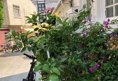 Others 3 Heybeli Butik Hotel