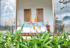 其他 2 Golden Pineapple Villas