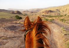 Others 5 Petra Bed & Breakfast