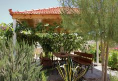 Others 3 Petra Bed & Breakfast