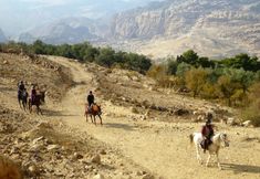 Others 7 Petra Bed & Breakfast