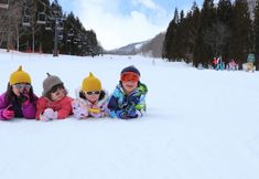 기타 6 Hakuba Alps Hotel