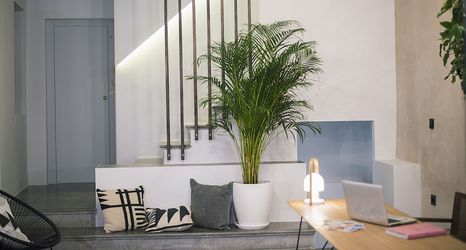 其他 2 Welldone Cathedral