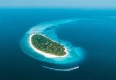 기타 2 NH Collection Maldives Reethi Resort
