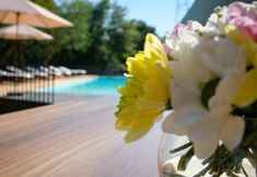 기타 2 Quinta do Pedregal Hotel & Spa