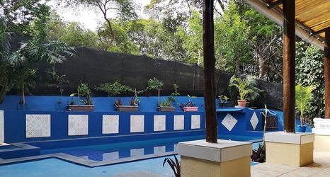 其他 2 Eco Pousada Jardim Botânico