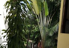 其他 3 Eco Pousada Jardim Botânico