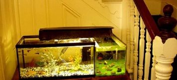 Others 5 Chiswick Court