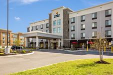 其他 Comfort Inn & Suites Niagara Falls Blvd USA