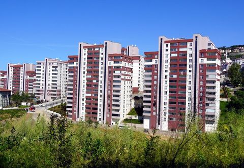 その他 Zenofon Residence