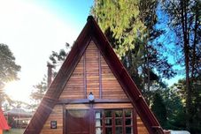 기타 Villa Vintage Campos