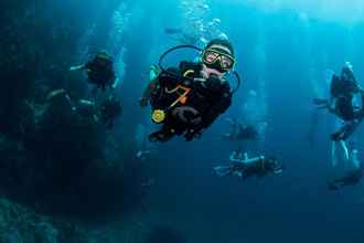 Others 4 Carabao Diving Koh Tao