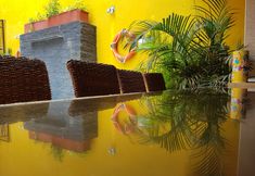 Others 5 Coco Bahia Hostal - Hostel
