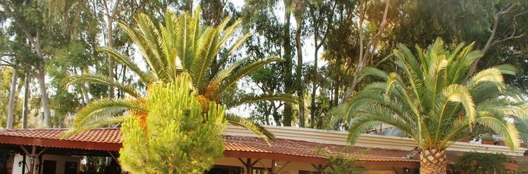 其他 Medusa Bar & Camping - Hostel