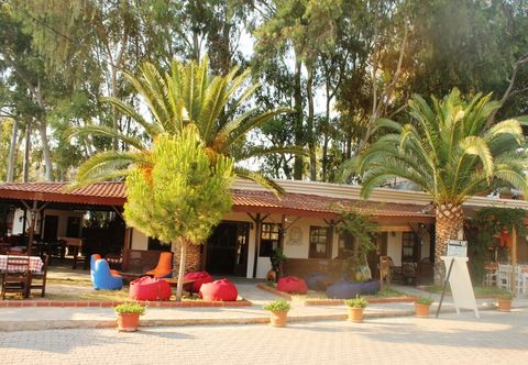 其他 Medusa Bar & Camping - Hostel