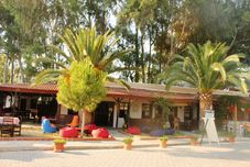 Lain-lain Medusa Bar & Camping - Hostel