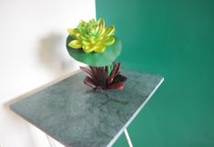 Lain-lain 4 Brown Epitome Lodge