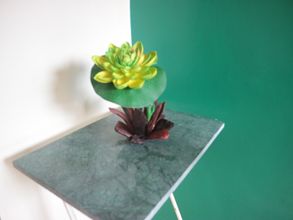 Lain-lain 4 Brown Epitome Lodge