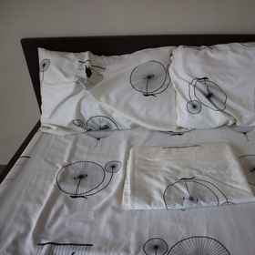 Primary image1布朗艾比托米小屋旅館,奥罗拉省飯店