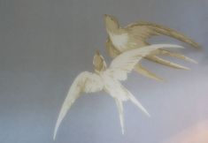 その他 5 The Swallows Rest Bed & Breakfast