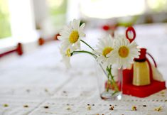 Others 6 Sulo Pansiyon