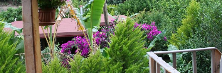 อื่นๆ Naz Apart Cirali