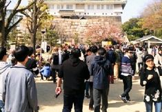 Others 6 Guesthouse Jakotel Tsuruhashi