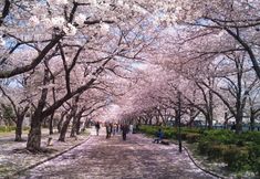 Others 3 Guesthouse Jakotel Tsuruhashi