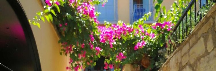 その他 Sihirli Kitap Kahve Konuk Evi