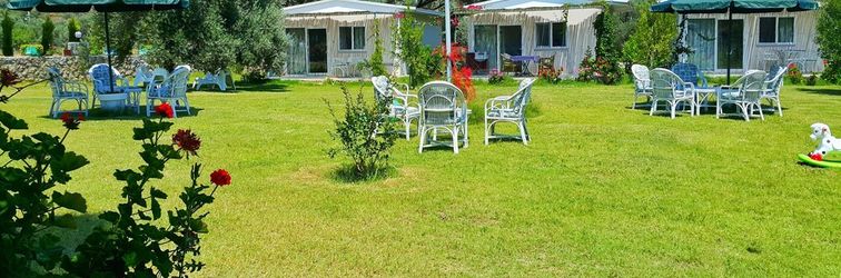 Lain-lain Datcamania