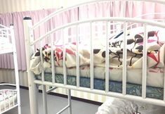 อื่นๆ 7 Akatsuka Go Go House - Hostel