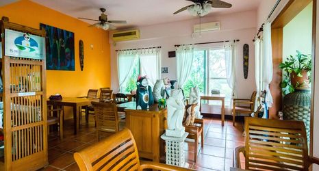 Others 2 Balilover B&B