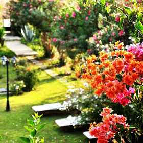 Primary image 1 Villa Fleria, Chania Regional Unit Hotels