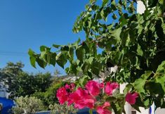 อื่นๆ 3 Eden Hotel