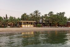 기타 Selvi Beach Hotel