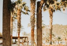 기타 2 Selvi Beach Hotel