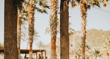 기타 2 Selvi Beach Hotel